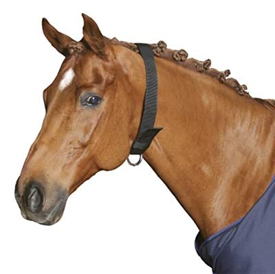 Producten/halsriem voor paard nylon 5cm