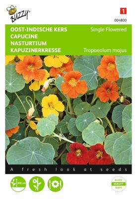 Zaden Tropaeolum Oost-Indische kers enkelbloemig gemengd Buzzy - Buzzy Zaden Tropaeolum Oost-Indische kers enkelbloemig gemengd Buzzy - Buzzy