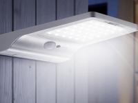 Haagbeuk - thumbnail