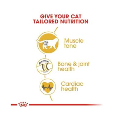 Royal Canin British Shorthair Adult | Dubbelpak | 2 x 400 g | Compleet voer voor British Shorthair katten | Speciaal ontwikkeld voor Britse korthaar katten | Vanaf de 12e maand