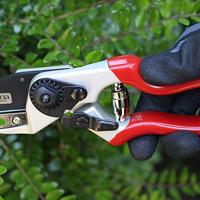 Siena Garden CG1090 Grasschaar 21 cm Amboss - thumbnail