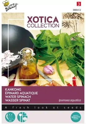 Zaden Xotica Kankong Waterspinazie of Dagoeblad Buzzy - Buzzy