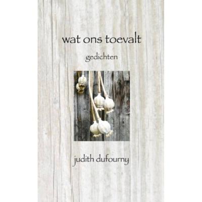 Wat ons toevalt - Judith Dufourny - Paperback (9789402114591) Wat ons toevalt - Judith Dufourny - Paperback (9789402114591)
