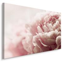 Schilderij - Pastelkleurige Pioenrozen , print op canvas, premium print , Wanddecoratie - thumbnail