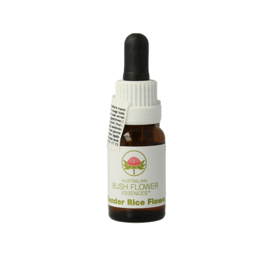 Australian Bush Slender rice flower 15 Milliliter Australian Bush Slender rice flower 15 Milliliter