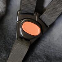 Edge cargocomfy peuterschaal - 7-19 maanden - grijs - thumbnail