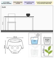 LECHUZA OJO Kweektafel Vrijstaand Polypropyleen (PP) Blauw, Roze Binnen - thumbnail