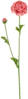 Pure Royal kunsttak ranunculus 62cm roze - thumbnail
