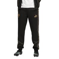 PUMA Portugal Pantera Negra Pre-Match Trainingsbroek Zwart Goud - thumbnail