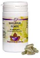 Holisan Shilayur Forte Capsules - thumbnail
