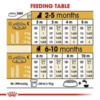 ROYAL CANIN /Jack Russel Terrier Junior zak 1,5 kg Jack Russel Junior Puppy Droogvoer van 2 tot 10 Maanden - thumbnail