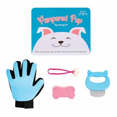 Gift Republic Massage Kit - Hond