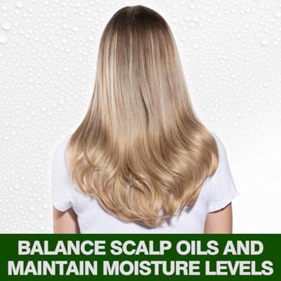 Shampoo Farouk Chi Tea Tree Oil 355 ml Shampoo Farouk Chi Tea Tree Oil 355 ml