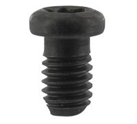 ENT Torx schroef M4x6/D=5.8 - 7900635 - thumbnail