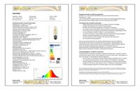 Segula 55314 LED-lamp Energielabel G (A - G) E27 Kaars 3.2 W = 26 W Warmwit (Ø x h) 35 mm x 100 mm Dimbaar 1 stuk(s) - thumbnail