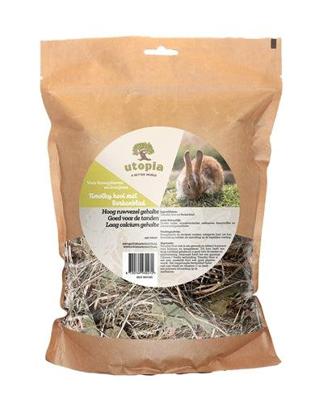 UTOPIA TIMOTHY HOOI MET BERKENBLAD UTOPIA TIMOTHY HOOI MET BERKENBLAD