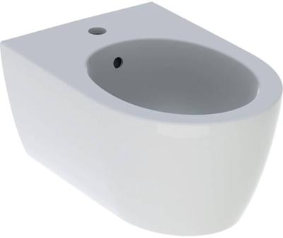 Geberit iCon Wandbidet 53x35,5x30 cm Met Overloop Mat Wit