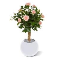 Kunstroos op stam 75cm - roze - thumbnail
