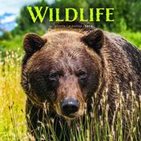 Wildlife Kalender 2026 - thumbnail