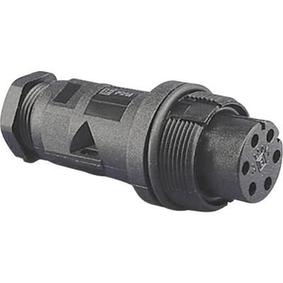 Bulgin PX0801 Ronde connector Stekker, inbouw Serie (ronde connectoren): PX08 1 stuk(s) Bulgin PX0801 Ronde connector Stekker, inbouw Serie (ronde connectoren): PX08 1 stuk(s)