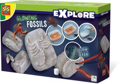 SES Glowing fossils SES Glowing fossils