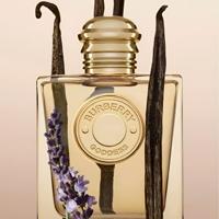 Burberry Goddess Eau de Parfum 50ml - thumbnail