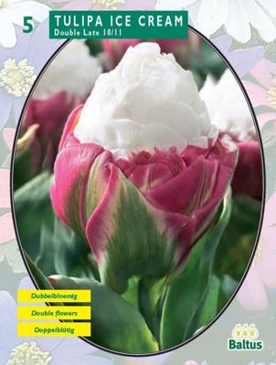 Tulipa Ice Cream per 5 Baltus - Baltus