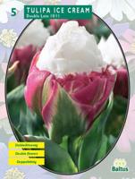 Tulipa Ice Cream per 5 Baltus - Baltus - thumbnail