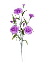 Dianthus l70cm lila kunstbloem Louis Maes - Louis maes - thumbnail