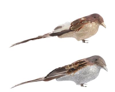 Vogel veer clip l8b8h28 cm ntrl a4 kerstversiering Decoris - Decoris