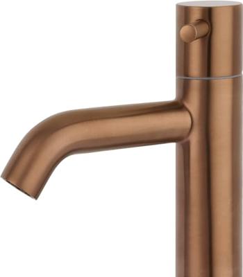 Saqu Eurotrend fonteinkraan met greep geborsteld koper