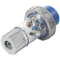 Sygonix SY-5873150 CEE-CARA-stekker 32 A 3-polig 230 V/AC 1 stuk(s) - thumbnail