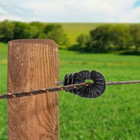 Gallagher Schroef-ringisolator BS hout super (250) - 011209 011209 - thumbnail