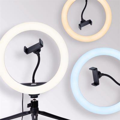 DÖRR Vlogging Kit VL-26 RGB LED-ringlamp Aantal LEDs: 130 DÖRR Vlogging Kit VL-26 RGB LED-ringlamp Aantal LEDs: 130