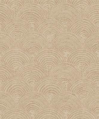 Emil & Hugo Moana 300566