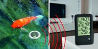 TFA Dostmann 30.3199.IT 30.3199.IT Zwembadbuitensensor - thumbnail