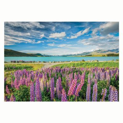 Clementoni legpuzzel bloemen bij lake tekapo, 1500st.