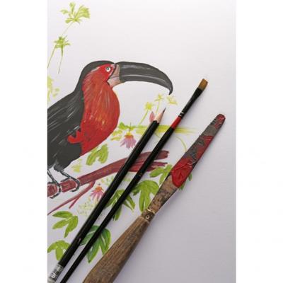 Tekenblok Clairefontaine Paint On A4 40 vel 250gr | 4 stuks