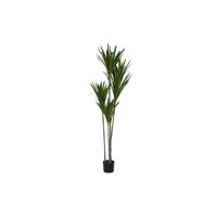 Decoratieve plant DKD Home Decor (80 x 80 x 180 cm) - thumbnail