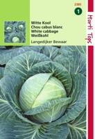 Zaden Wittekool Langedijker Bewaar Hortitops - Hortitops - thumbnail