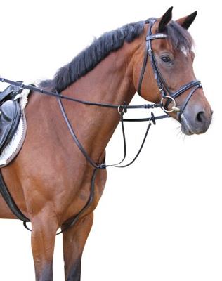 Covalliero Kerbl 321754 warmbloed, zwart