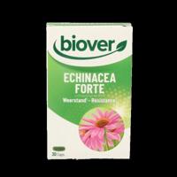 Biover Echinacea Forte 30 Capsules - thumbnail