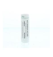 Homeoden Heel Galium aparine D30 6 Gram - thumbnail