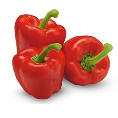 Paprika Jubilandska BIO