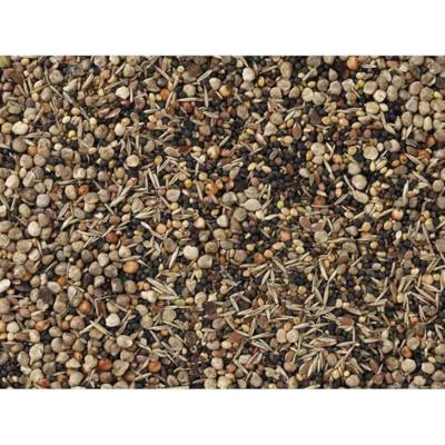 DeliNature Wilvestrezaden 3 kg vogels