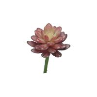 Kunst Sedum pick bordeaux - 16 cm Kunsttakken Nova Nature - Nova nature - thumbnail