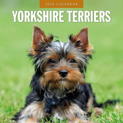 Yorkshire Terrier Kalender 2026