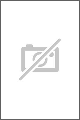 De laatste zeven - Annerieke de Vries - ebook