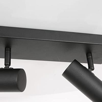 Steinhauer Opbouw plafondlampBundle 2-lichts - 3336ZW