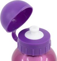 Waterfles Disney Princess CZ11260 530 ml Roze Aluminium - thumbnail